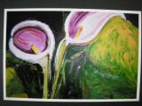 Calla